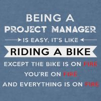 Project Manager Is Easy Funny Humor Garment-Dyed Sweatshirt