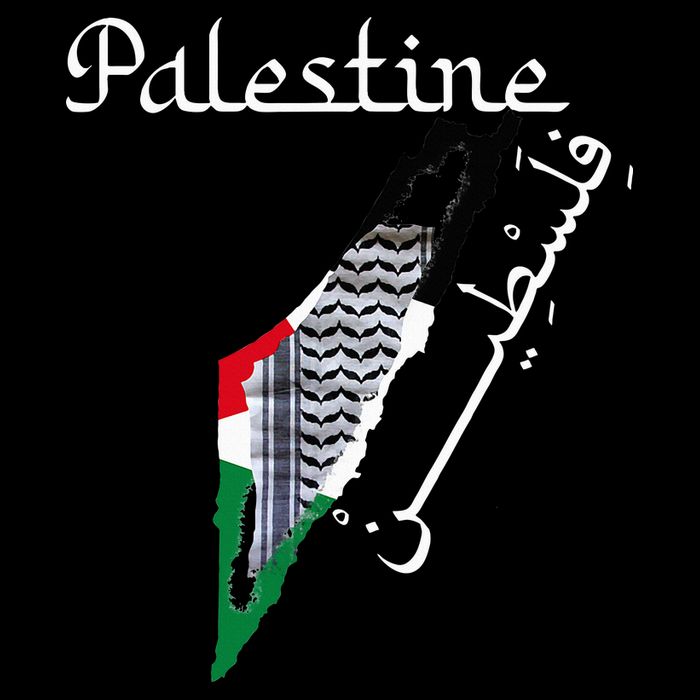 Palestine Map Keffiyeh Scarf Palestinian Flag in Arabic Wool Snapback Cap