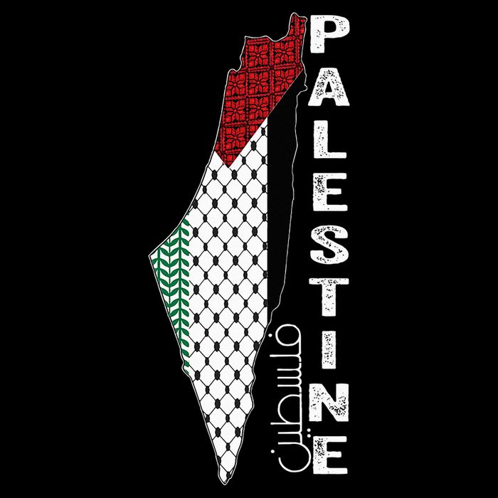 Palestinian Map Keffiyeh Thobe Patterns Palestine In Arabic 16 in Basic Backpack