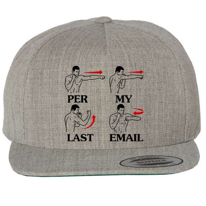 Per My Last Email Funny Men Costumed Wool Snapback Cap