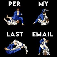 Per My Last Email Office Humor Meme Fight Punch Boxing Premium T-Shirt