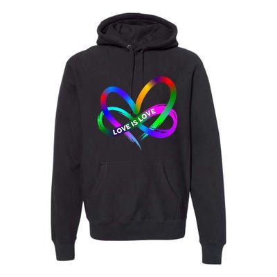 Pride Month Lgbt Straight Heart With Love Is Love Premium Hoodie