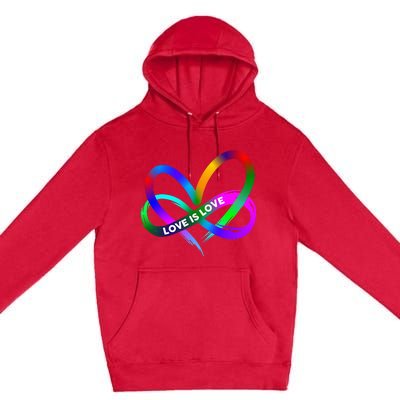 Pride Month Lgbt Straight Heart With Love Is Love Premium Pullover Hoodie