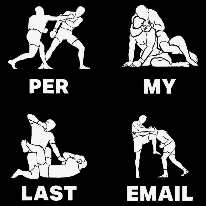 Per My Last Email Bag
