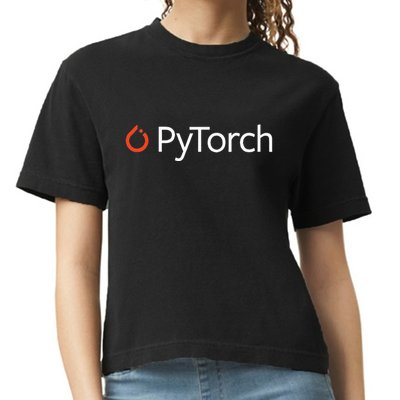 Pytorch Machine Learning Software For Developers Coders Comfort Colors Boxy T-Shirt