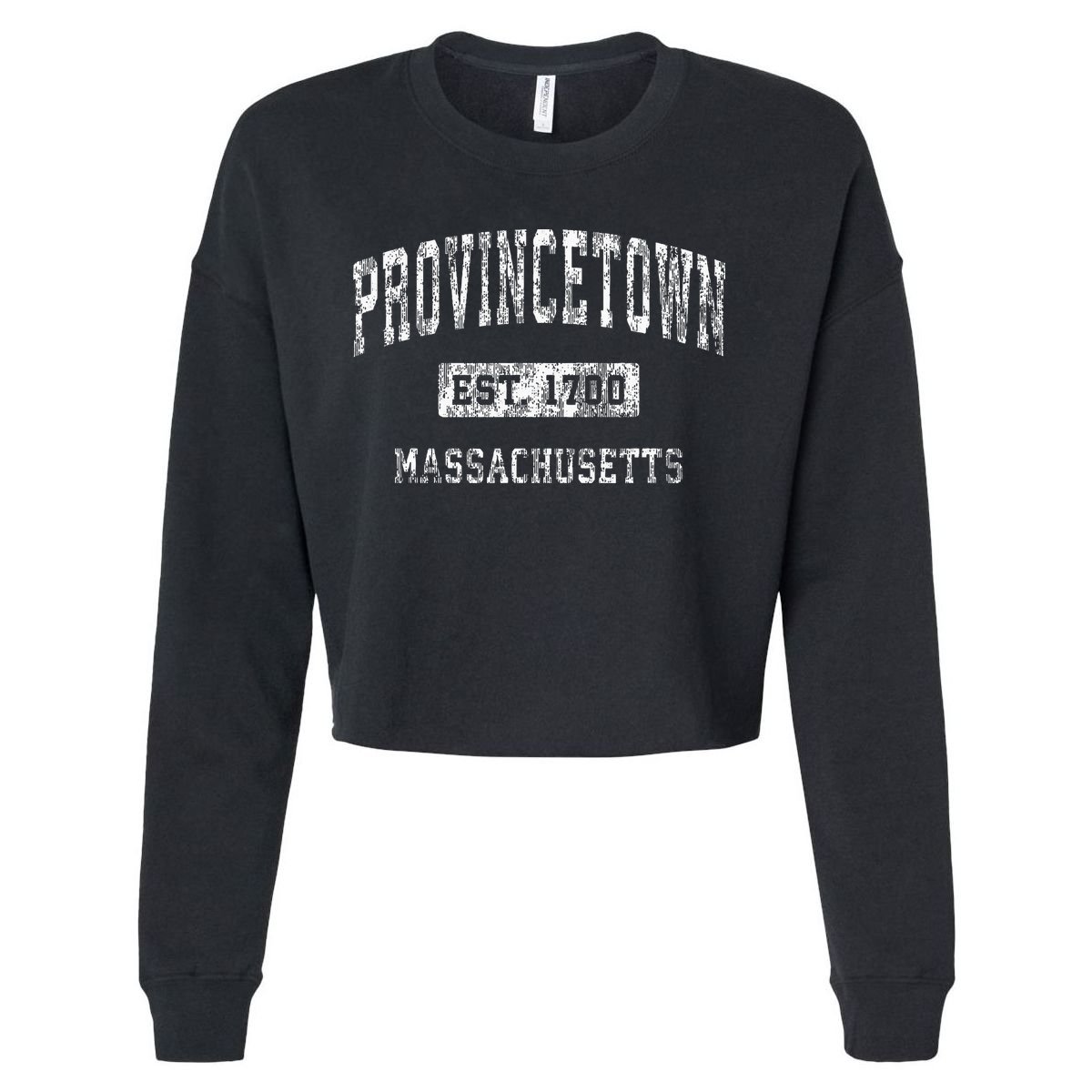 Provincetown Massachusetts Ma Vintage Established Sports Cropped Pullover Crew