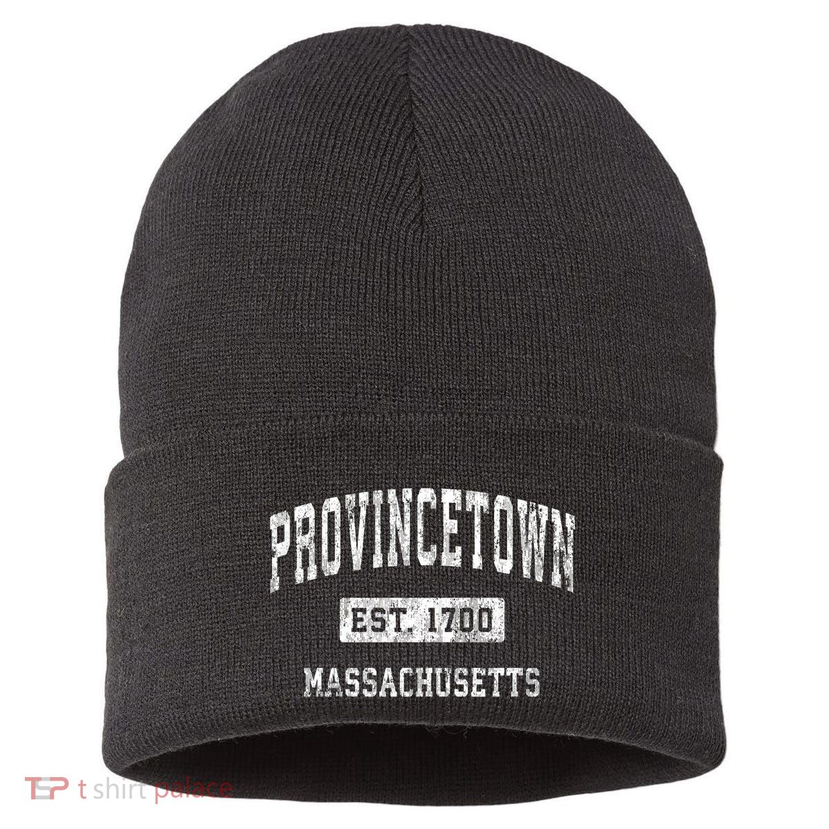 Provincetown Massachusetts Ma Vintage Established Sports Sustainable Knit Beanie