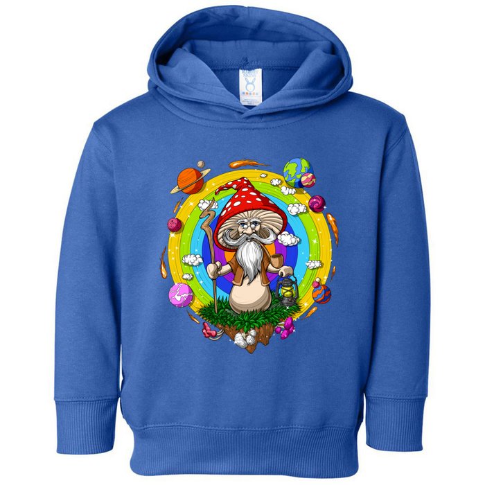 Psychedelic Magic Mushroom Buddha Yoga Meditation Spiritual Gift Toddler Hoodie