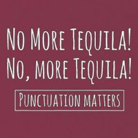 Punctuation Matters No More Tequila Grammar Joke 16oz Travel Tumbler