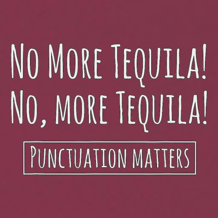 Punctuation Matters No More Tequila Grammar Joke 16oz Travel Tumbler