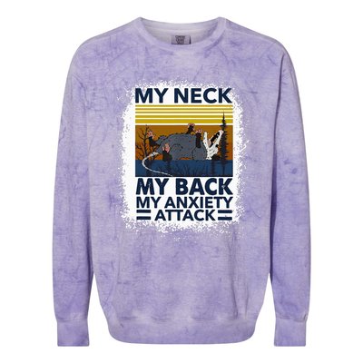 Possum My Neck My Back My Anxiety Attack Retro Opossums Colorblast Crewneck Sweatshirt