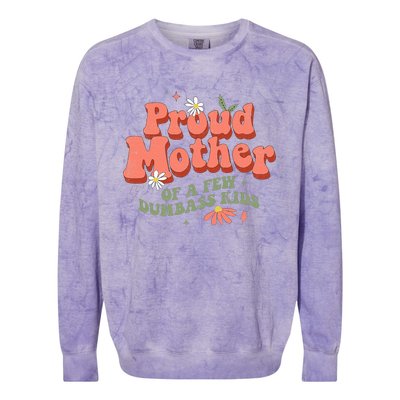 Proud Mother Of A Few Dumbass Mom Stepmom MotherS Colorblast Crewneck Sweatshirt