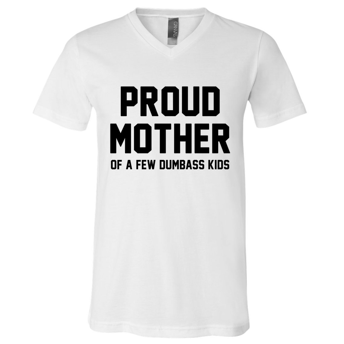 Proud Mother Of A Few Dumbass Kids Funny V-Neck T-Shirt