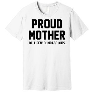 Proud Mother Of A Few Dumbass Kids Funny Premium T-Shirt