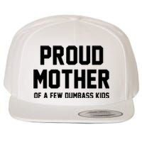 Proud Mother Of A Few Dumbass Kids Funny Wool Snapback Cap