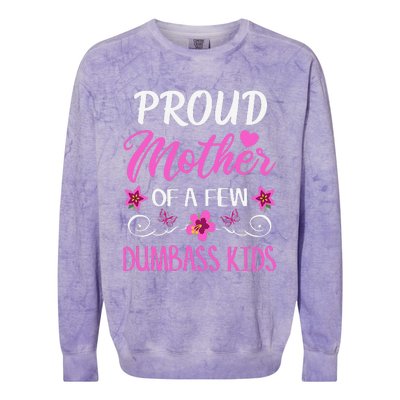 Proud Mother Of A Few Dumbass Colorblast Crewneck Sweatshirt