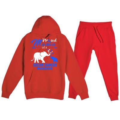 Proud Mama Of A Colon Cancer Warrior Gift Premium Hooded Sweatsuit Set