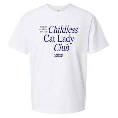 Proud Member Of The Childless Cat Lady Club Sueded Cloud Jersey T-Shirt