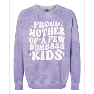 Proud Mother Of A Few Dumbass Stepmom MotherS Day Colorblast Crewneck Sweatshirt