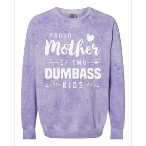 Proud Mother Of Two Dumbass Mom Mothers Day Gift Colorblast Crewneck Sweatshirt