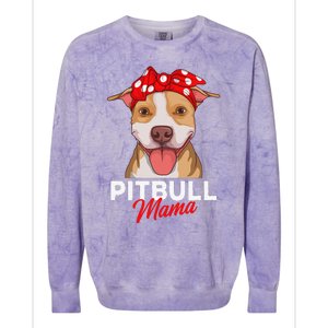 Pittie Mama Pitbull Dog Mom Funny Mothers Day Gifts Colorblast Crewneck Sweatshirt