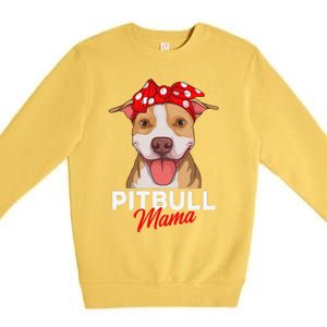 Pittie Mama Pitbull Dog Mom Funny Mothers Day Gifts Premium Crewneck Sweatshirt