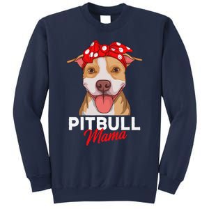 Pittie Mama Pitbull Dog Mom Funny Mothers Day Gifts Sweatshirt