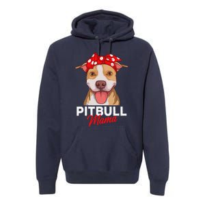 Pittie Mama Pitbull Dog Mom Funny Mothers Day Gifts Premium Hoodie