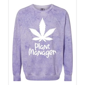 Plant Manager Colorblast Crewneck Sweatshirt