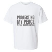 Protecting My Peace Please Do Not Disturb Sueded Cloud Jersey T-Shirt