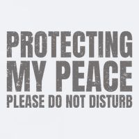 Protecting My Peace Please Do Not Disturb Sueded Cloud Jersey T-Shirt