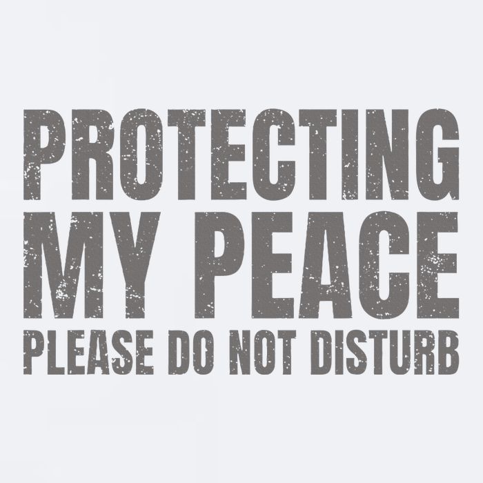 Protecting My Peace Please Do Not Disturb Sueded Cloud Jersey T-Shirt
