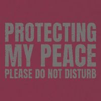 Protecting My Peace Please Do Not Disturb 16oz Travel Tumbler