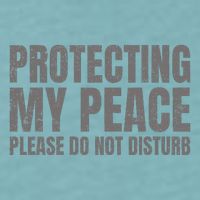 Protecting My Peace Please Do Not Disturb Sueded Cloud Jersey T-Shirt