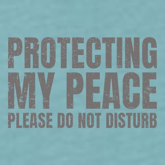Protecting My Peace Please Do Not Disturb Sueded Cloud Jersey T-Shirt