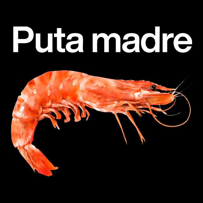 Puta Madre Shrimp City Backpack