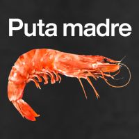 Puta Madre Shrimp Adult Drive Performance Visor