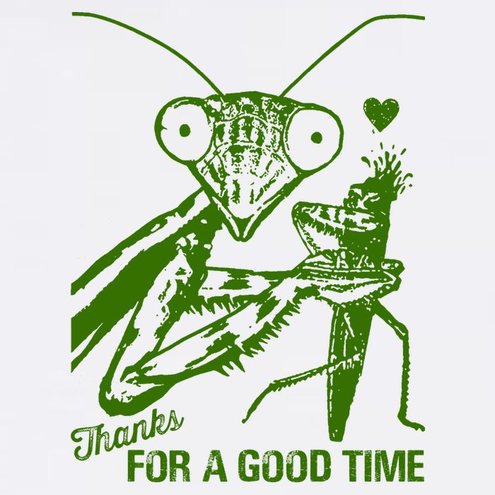 Praying Mantis Thanks For A Good Time Funny T-Shirt