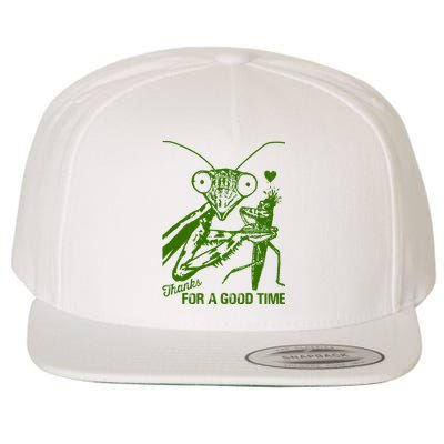 Praying Mantis Thanks For A Good Time Funny Wool Snapback Cap