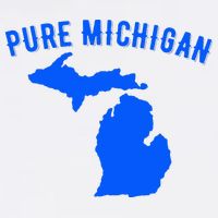 Pure Michigan Vacation Water Lake Fun Gift Idea Women's V-Neck T-Shirt