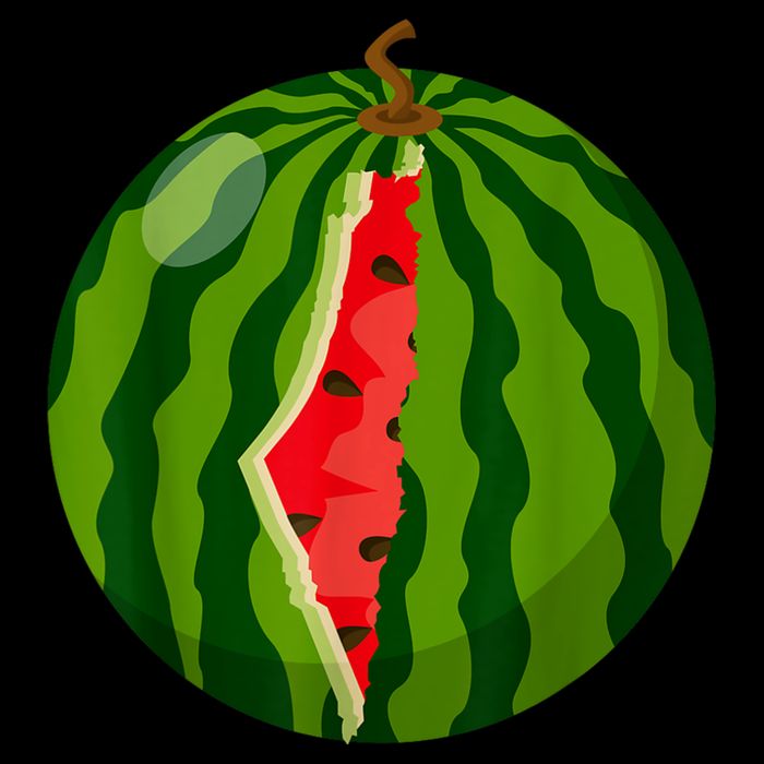 Palestine Map Watermelon Arabic Calligraphy Button
