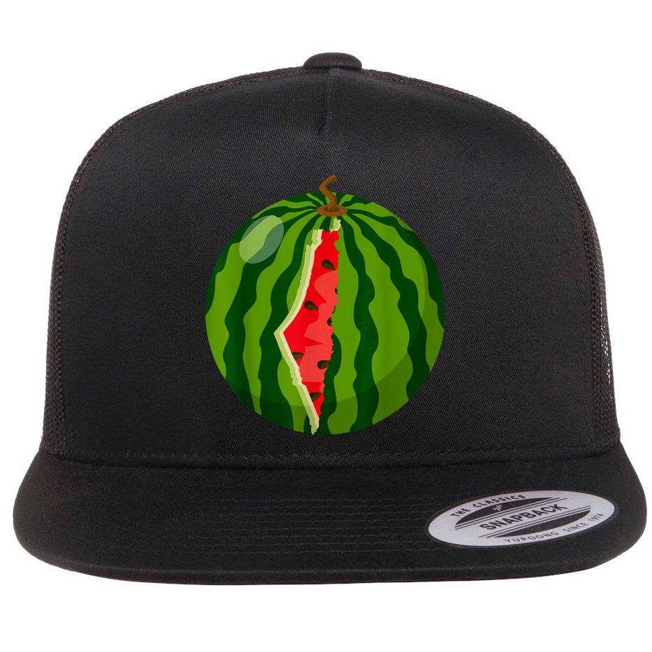Palestine Map Watermelon Arabic Calligraphy Flat Bill Trucker Hat