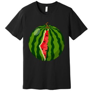 Palestine Map Watermelon Arabic Calligraphy  Premium T-Shirt