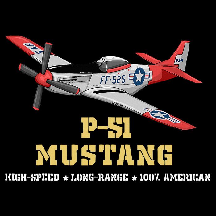 P51 Mustang World War Ii Fighter Bomber 16 in Basic Backpack
