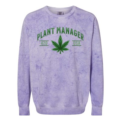 Plant Manager Weed Leaf Cannabis Marijuana Stoner 420 USA Colorblast Crewneck Sweatshirt