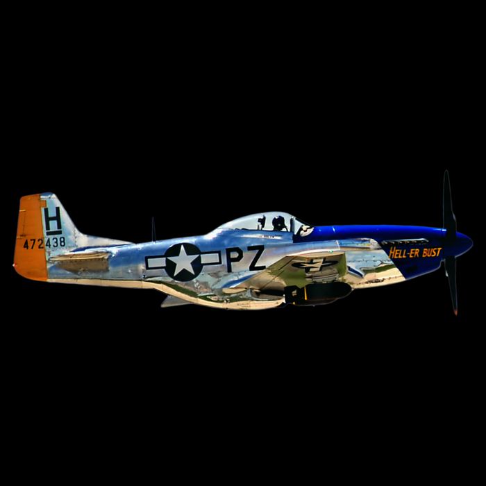 P51 Mustang WWII Fighter Plane US Military Aviation History 16 in Basic Backpack