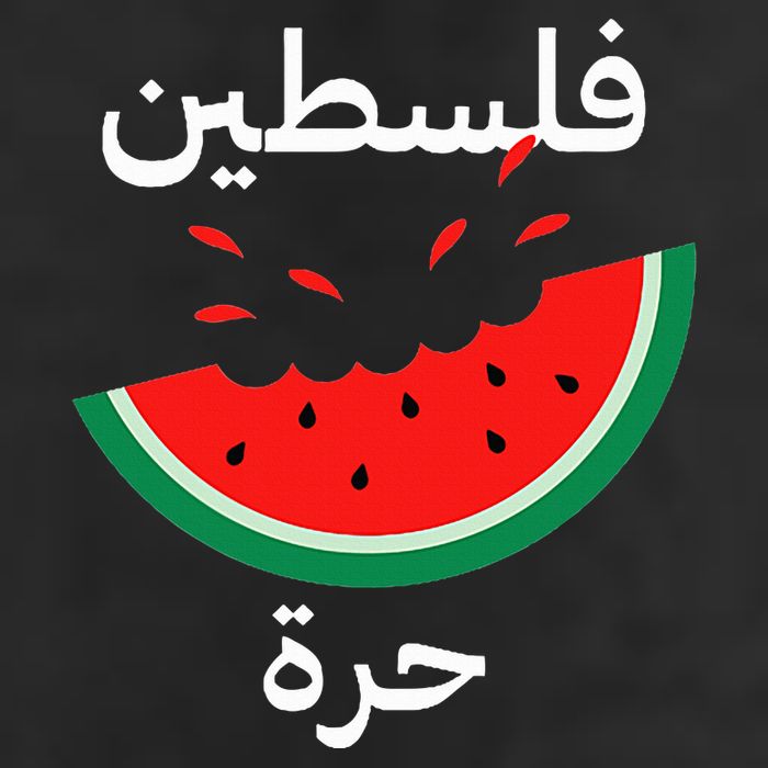 Palestine Map Watermelon Arabic Calligraphy Adult Drive Performance Visor