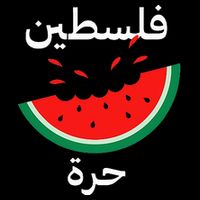 Palestine Map Watermelon Arabic Calligraphy Wool Snapback Cap