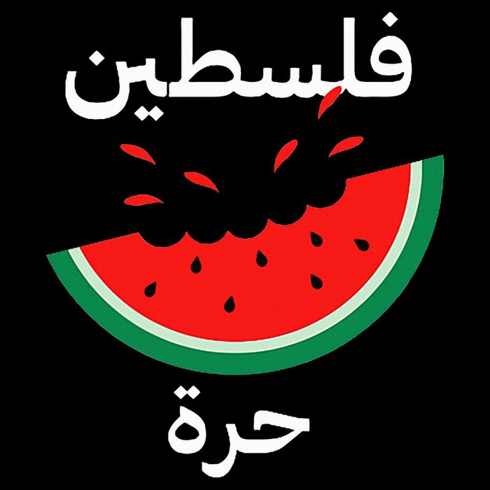 Palestine Map Watermelon Arabic Calligraphy Wool Snapback Cap