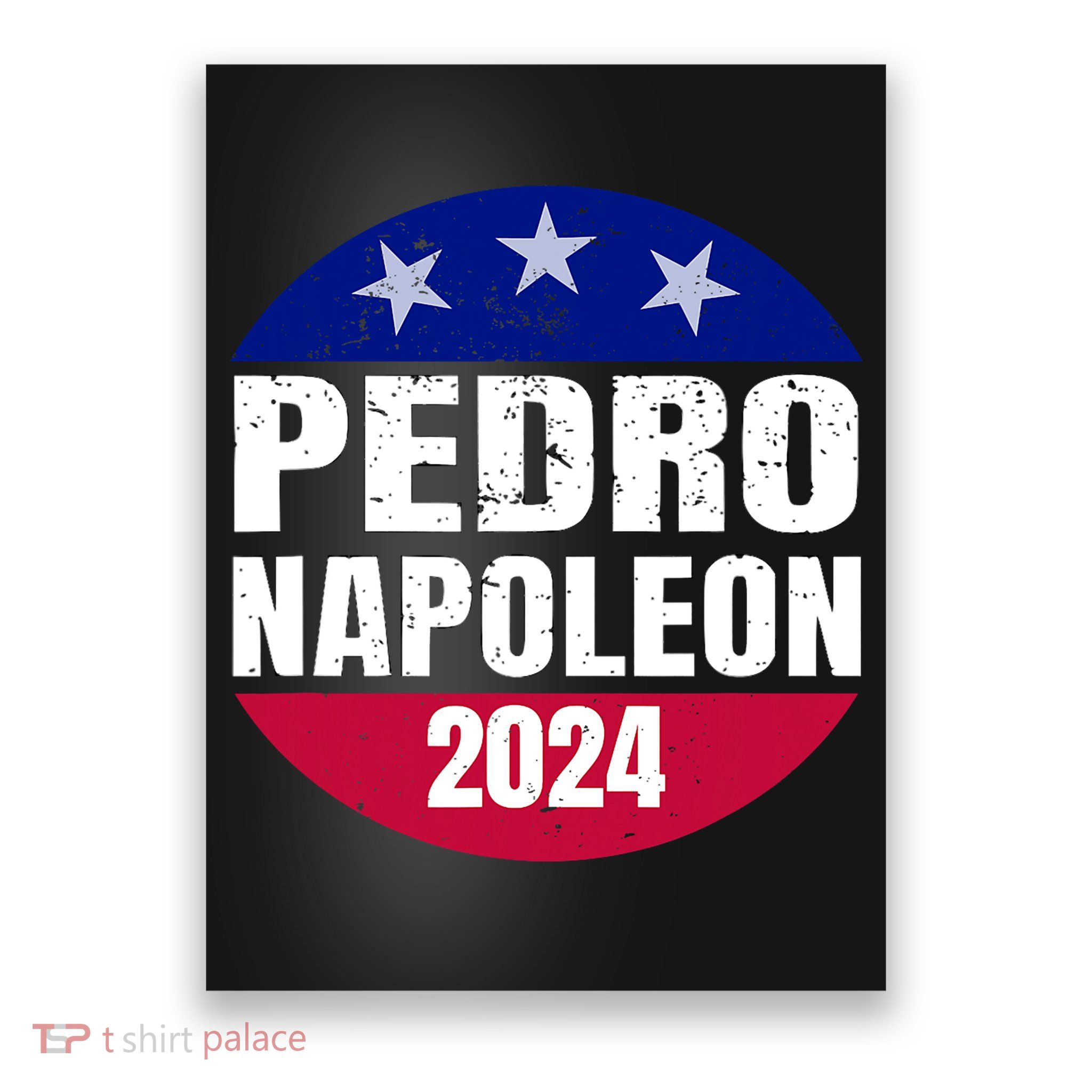 Pedro Napoleon 2024 Election Vote Funny Poster